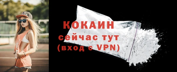 mix Богородск