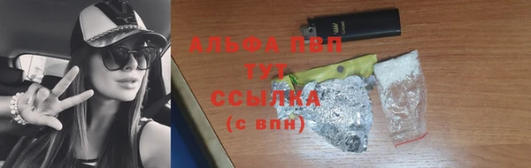 хмурый Белокуриха