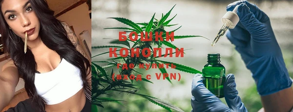 mix Богородск